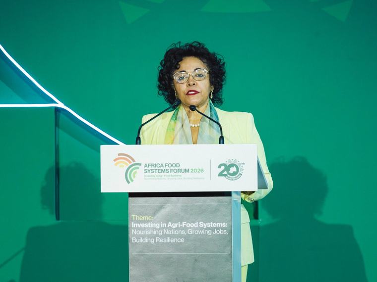 Africa Must Tear Down Trade Barriers to Unlock Food Markets, Says AUDA-NEPAD Chief