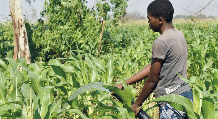 Malawi faces K324.8bn gapin El Niño preparedness
